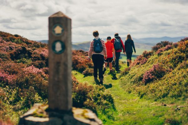 174760-moel-fenlli-offas-dyke-path-denbighshire-north-wales