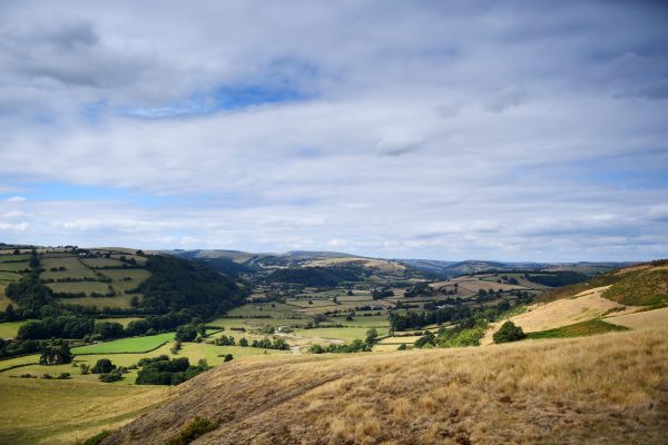 Offas Dyke path views around Knighton
Pic:Tom Martin
WALES NEWS SERVICE